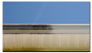 gutter cleaning lake charles 